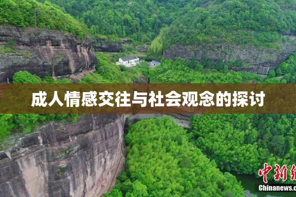成人情感交往与社会观念的探讨