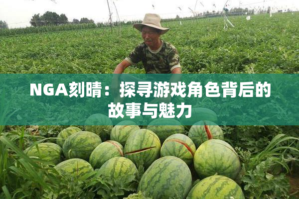 NGA刻晴：探寻游戏角色背后的故事与魅力
