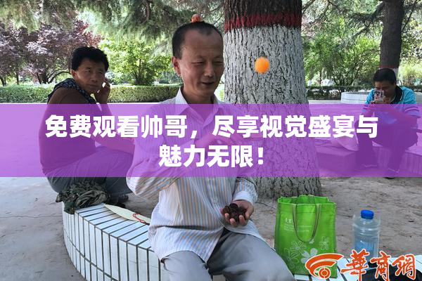 免费观看帅哥，尽享视觉盛宴与魅力无限！