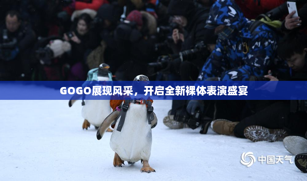 GOGO展现风采，开启全新裸体表演盛宴