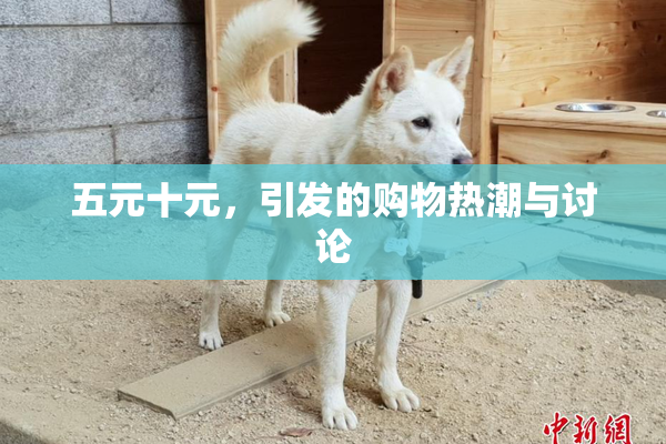 五元十元，引发的购物热潮与讨论