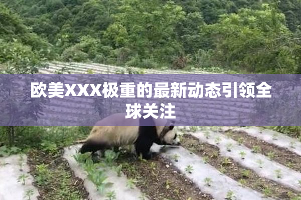 欧美XXX极重的最新动态引领全球关注