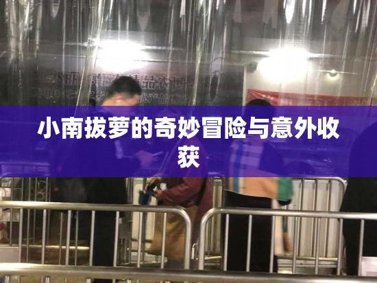小南拔萝的奇妙冒险与意外收获