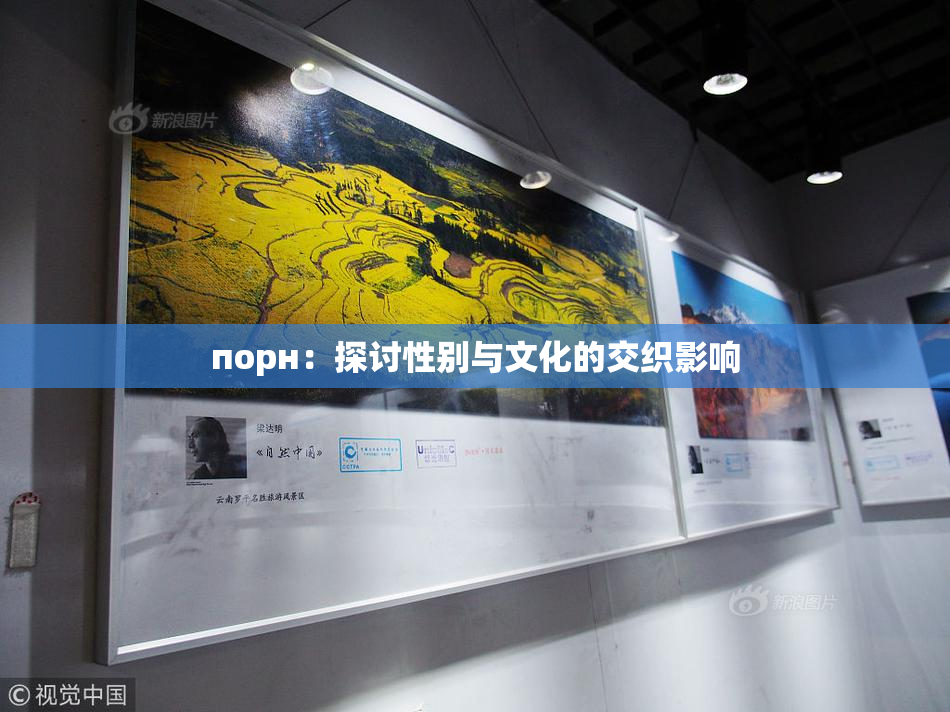 порн：探讨性别与文化的交织影响