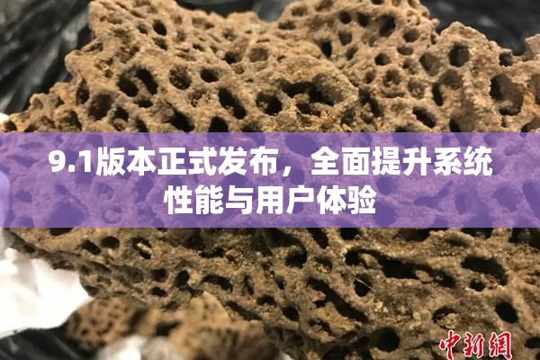 9.1版本正式发布，全面提升系统性能与用户体验