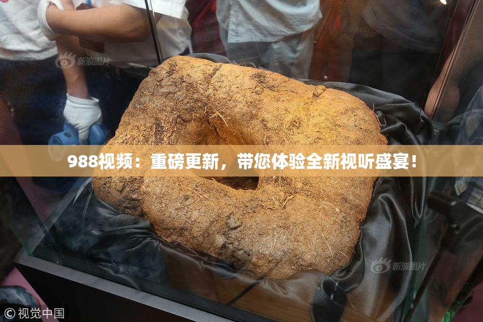 988视频：重磅更新，带您体验全新视听盛宴！