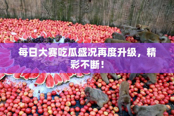 每日大赛吃瓜盛况再度升级，精彩不断！