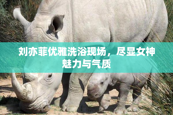 刘亦菲优雅洗浴现场，尽显女神魅力与气质