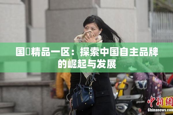 国產精品一区：探索中国自主品牌的崛起与发展
