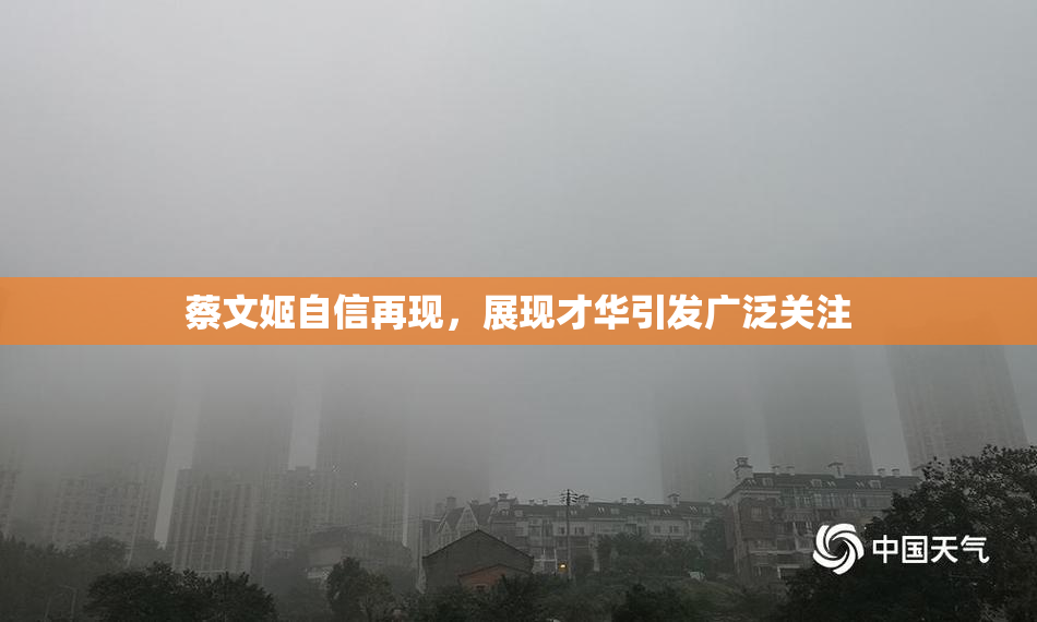 蔡文姬自信再现，展现才华引发广泛关注