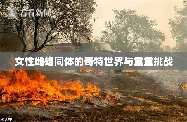 女性雌雄同体的奇特世界与重重挑战