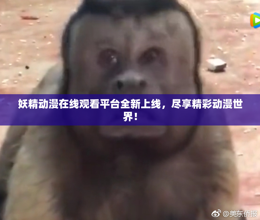 妖精动漫在线观看平台全新上线，尽享精彩动漫世界！