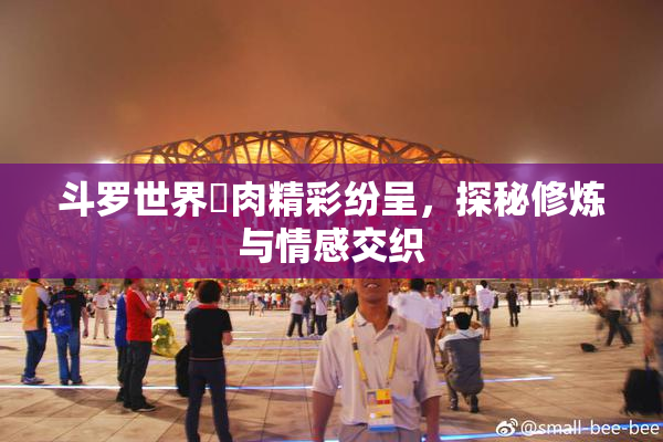 斗罗世界婬肉精彩纷呈，探秘修炼与情感交织