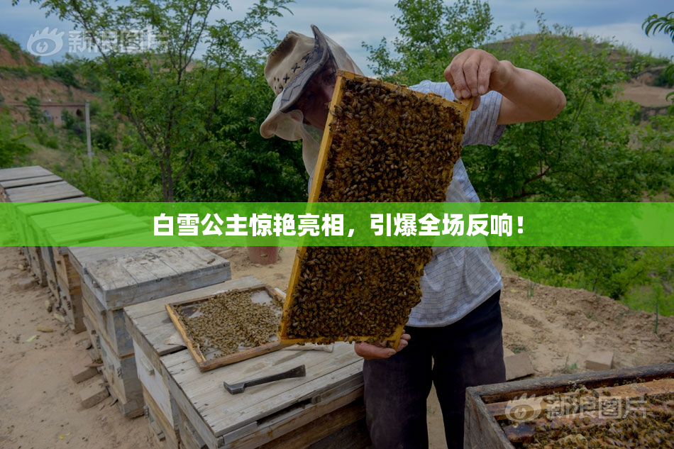 白雪公主惊艳亮相，引爆全场反响！