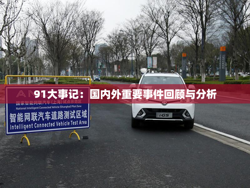 91大事记：国内外重要事件回顾与分析
