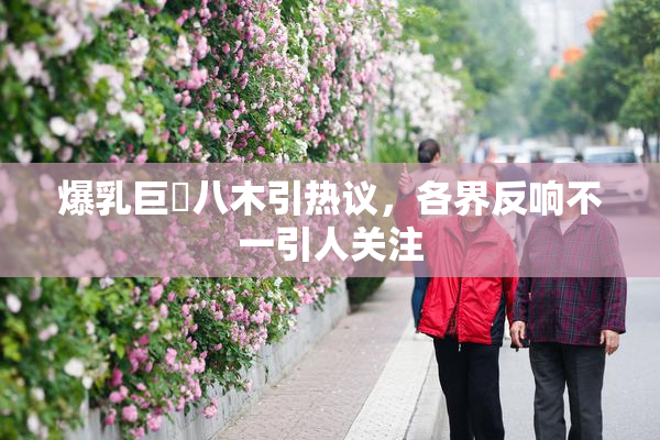 爆乳巨凥八木引热议，各界反响不一引人关注