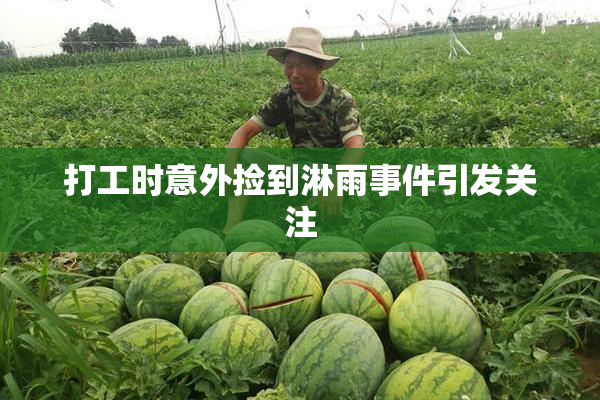 打工时意外捡到淋雨事件引发关注