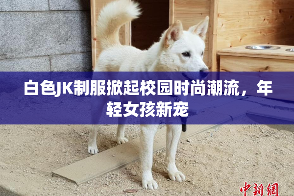 白色JK制服掀起校园时尚潮流，年轻女孩新宠