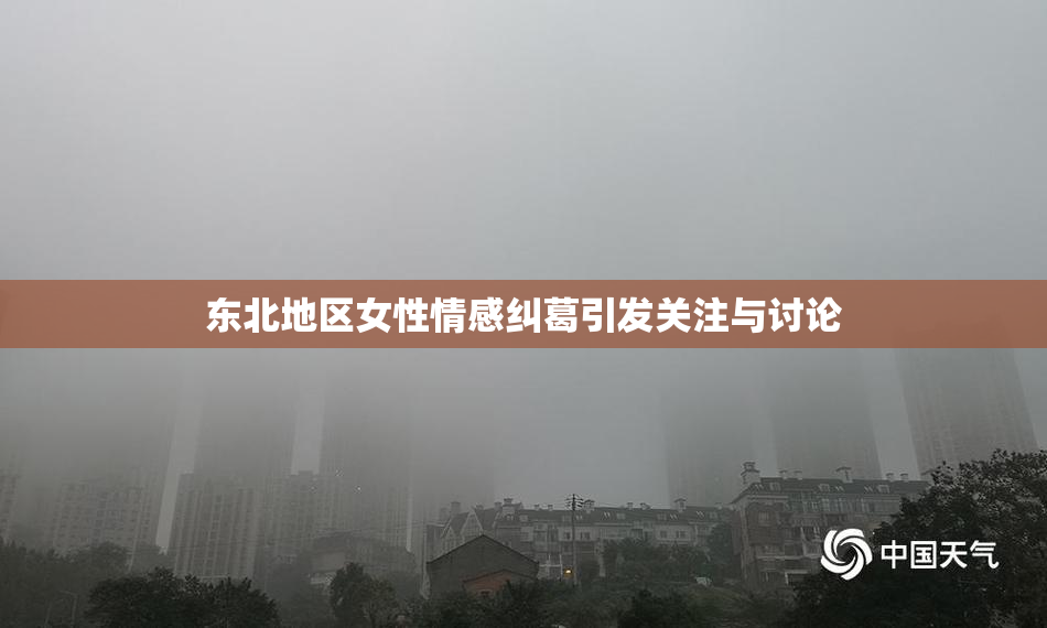 东北地区女性情感纠葛引发关注与讨论