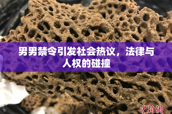 男男禁令引发社会热议，法律与人权的碰撞