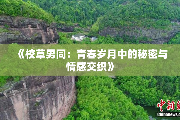 《校草男同：青春岁月中的秘密与情感交织》