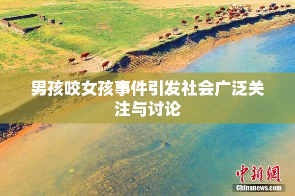 男孩咬女孩事件引发社会广泛关注与讨论