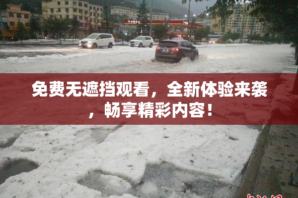 免费无遮挡观看，全新体验来袭，畅享精彩内容！