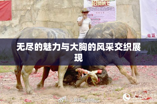 无尽的魅力与大胸的风采交织展现