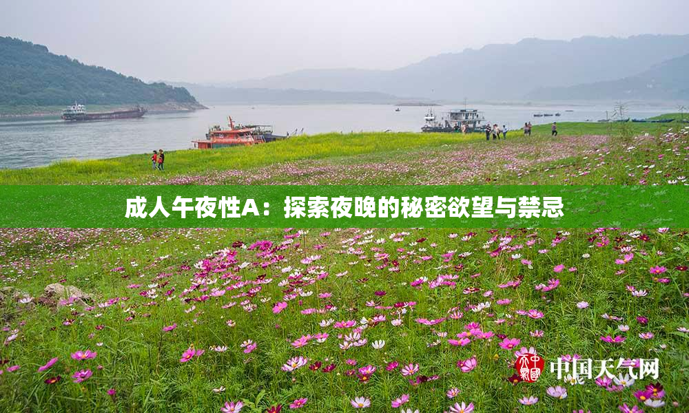 成人午夜性A：探索夜晚的秘密欲望与禁忌