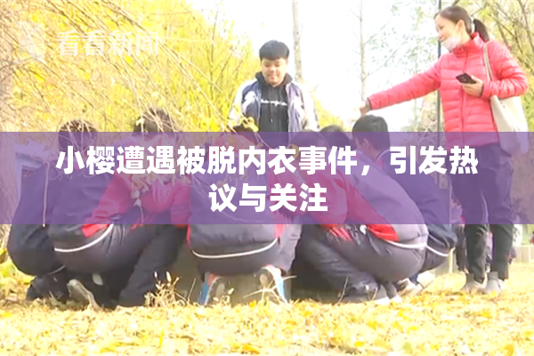 小樱遭遇被脱内衣事件，引发热议与关注
