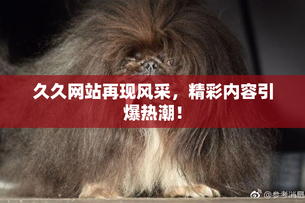 久久网站再现风采，精彩内容引爆热潮！