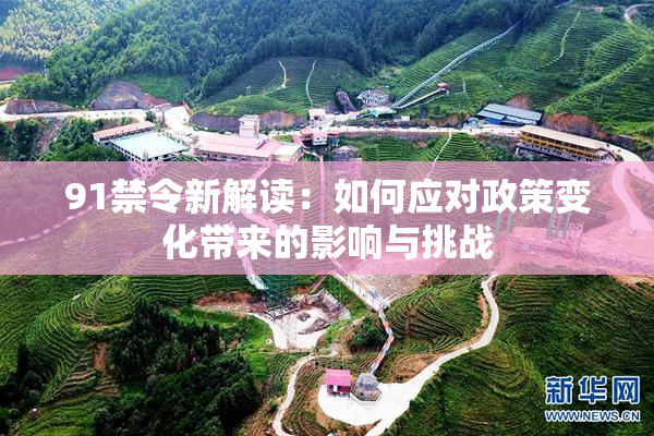 91禁令新解读：如何应对政策变化带来的影响与挑战