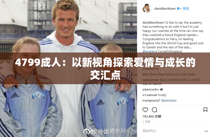 4799成人：以新视角探索爱情与成长的交汇点