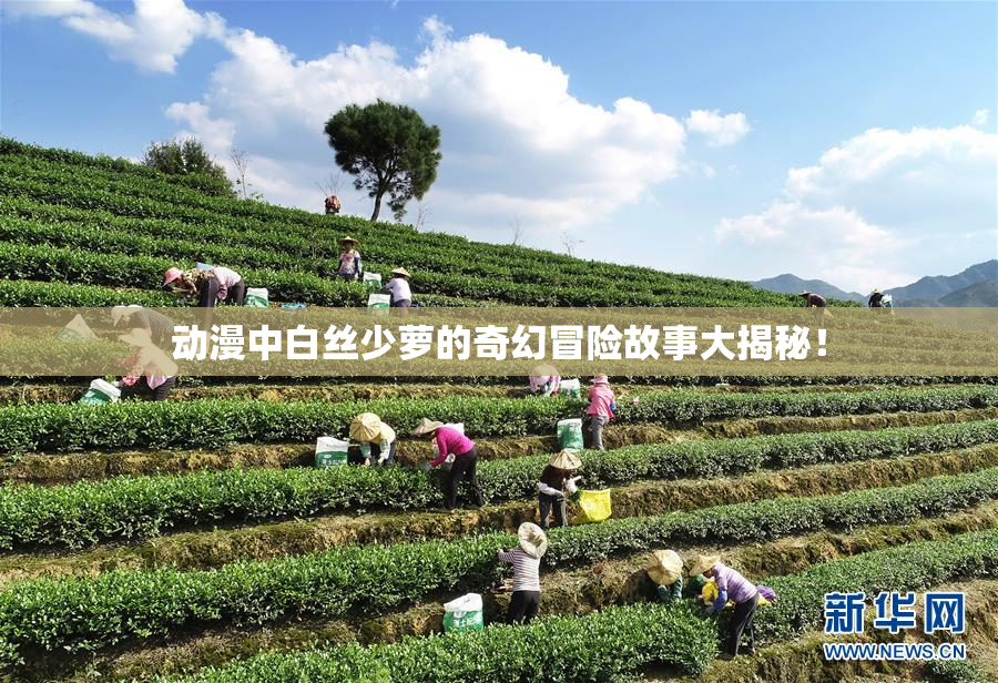动漫中白丝少萝的奇幻冒险故事大揭秘！