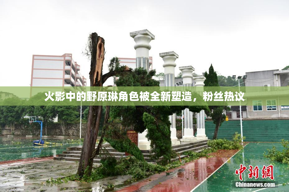 火影中的野原琳角色被全新塑造，粉丝热议