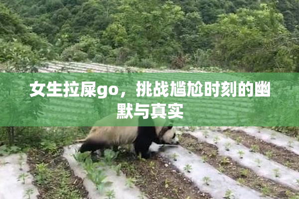 女生拉屎go，挑战尴尬时刻的幽默与真实