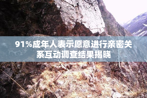 91%成年人表示愿意进行亲密关系互动调查结果揭晓