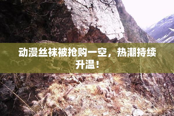 动漫丝袜被抢购一空，热潮持续升温！