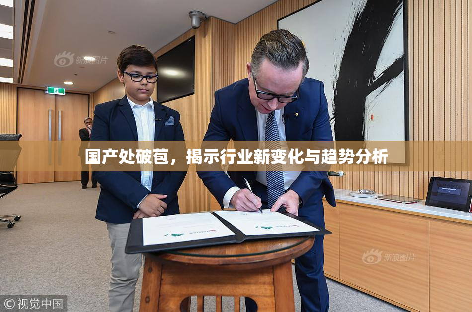 国产处破苞，揭示行业新变化与趋势分析
