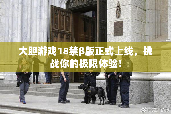 大胆游戏18禁β版正式上线，挑战你的极限体验！