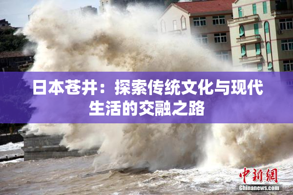 日本苍井：探索传统文化与现代生活的交融之路