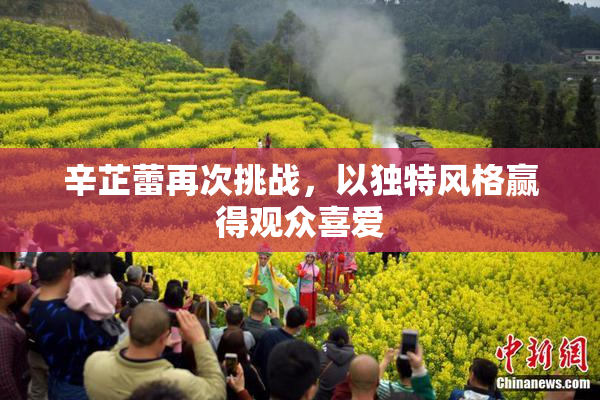 辛芷蕾再次挑战，以独特风格赢得观众喜爱