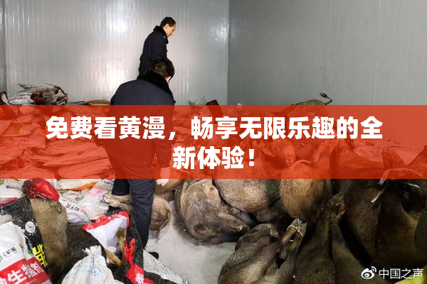 免费看黄漫，畅享无限乐趣的全新体验！