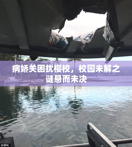 病娇关困扰樱校，校园未解之谜悬而未决