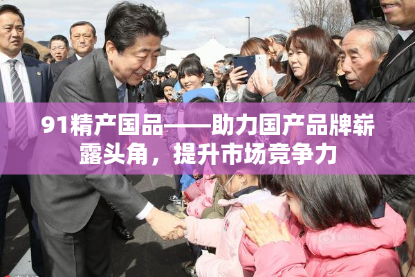 91精产国品——助力国产品牌崭露头角，提升市场竞争力