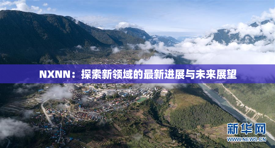 NXNN：探索新领域的最新进展与未来展望