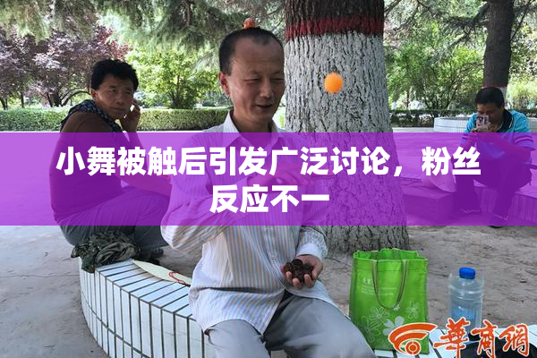小舞被触后引发广泛讨论，粉丝反应不一