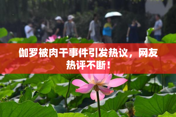 伽罗被肉干事件引发热议，网友热评不断！