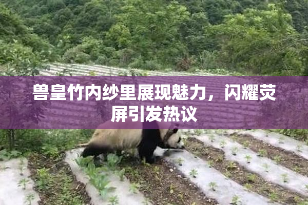 兽皇竹内纱里展现魅力，闪耀荧屏引发热议