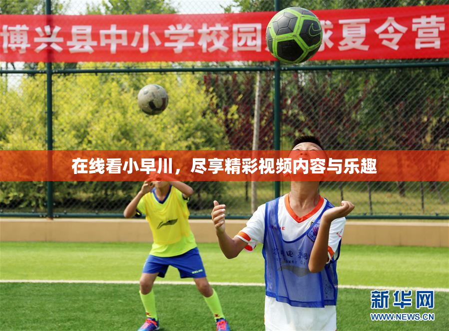 在线看小早川，尽享精彩视频内容与乐趣